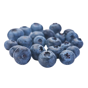 Blauwe bessen