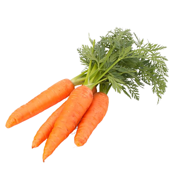 Bospeen