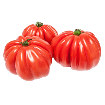 Coeur de Boeuf tomaten