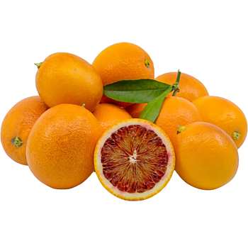 hand/pers Bloedsinaasappels