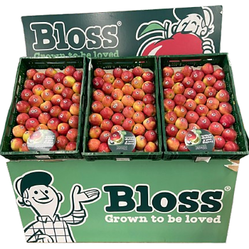 Hollandse Bloss appels