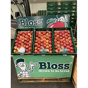 Hollandse Bloss appels