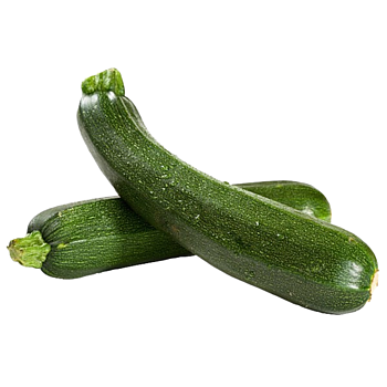 Hollandse Courgette