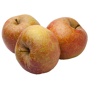 Hollandse Goudreinetten