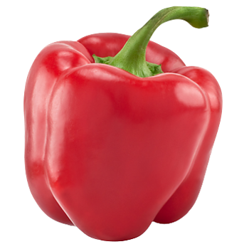 Hollandse Paprika