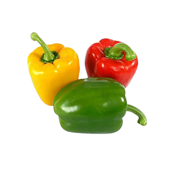 Hollandse Paprika