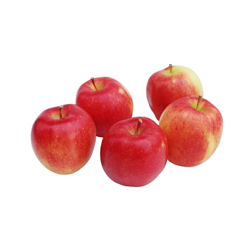 Hollandse Pinova appels