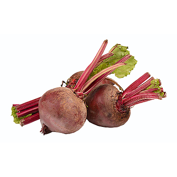 Hollandse Rode Bieten