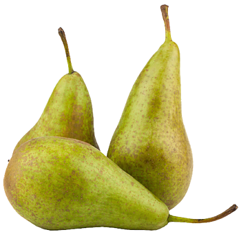 Hollandse Triomph peren