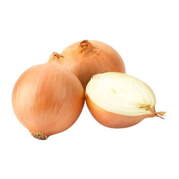 Hollandse Uien