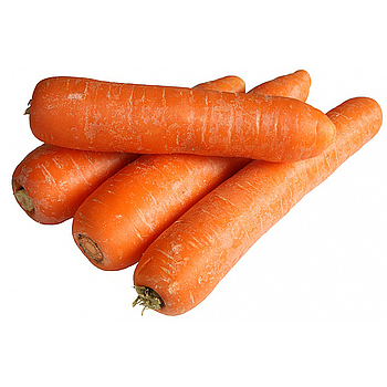 Hollandse Winterpeen