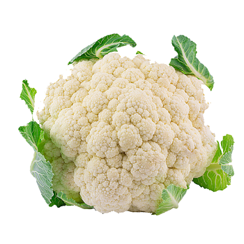 Grote Bloemkool