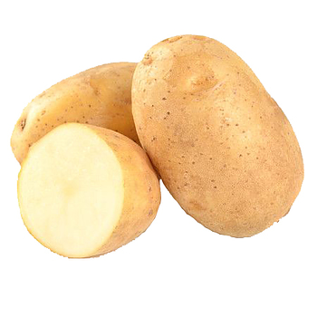 Hollandse Zeeuwse Roem