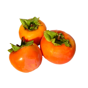 kakifruit