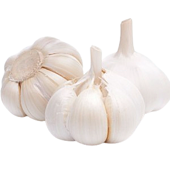 Losse Knoflook