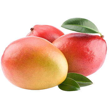 Mango’s uit de Ivoorkust