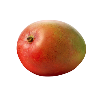 Mango’s uit Ivoorkust