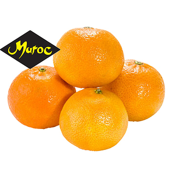 Nadorcott Maroc Mandarijnen pitloos