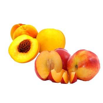 perziken of nectarines