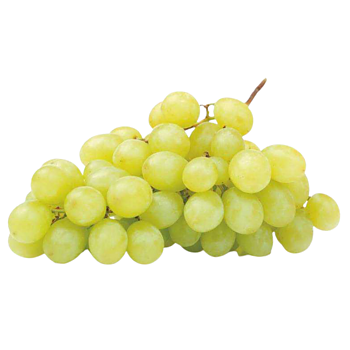 Pitloze Witte Druiven