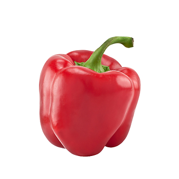 Rode Paprika
