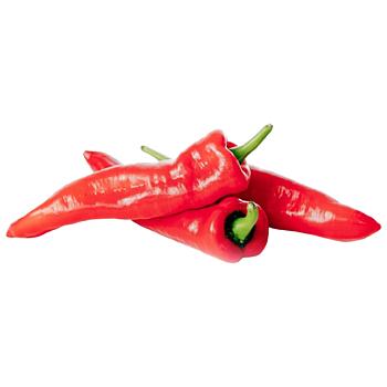 rode puntpaprika