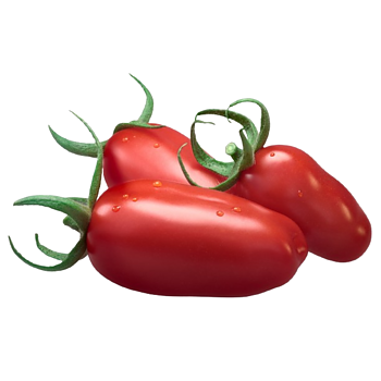 San Marzano Tomaten
