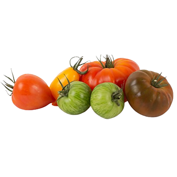 Saveur d&rsquo;antan tomaten