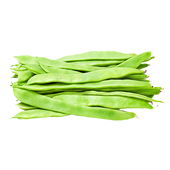 Snijbonen