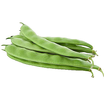 Snijbonen