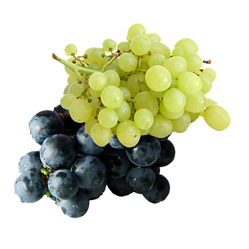 Topkwaliteit pitloze druiven