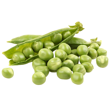 Verse Doperwten