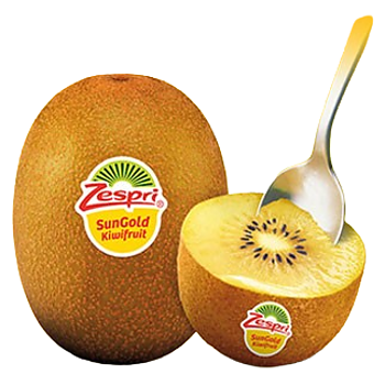 Zespri Kiwi Sungold