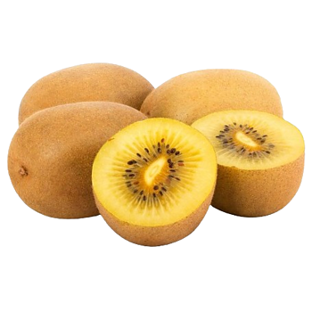 Zespri Kiwi Sungold XL