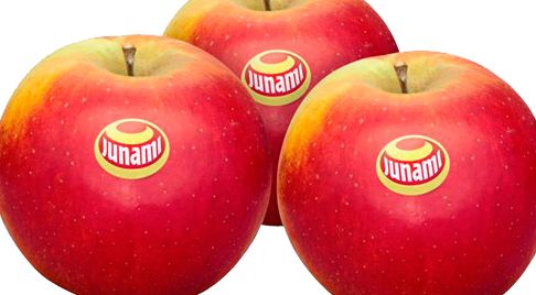 Appels
