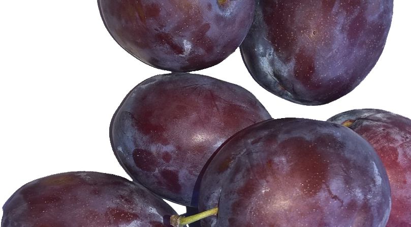 Seizoensfruit