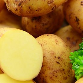 Frieslanders  